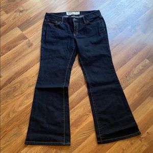 LOFT Flare Jeans -New